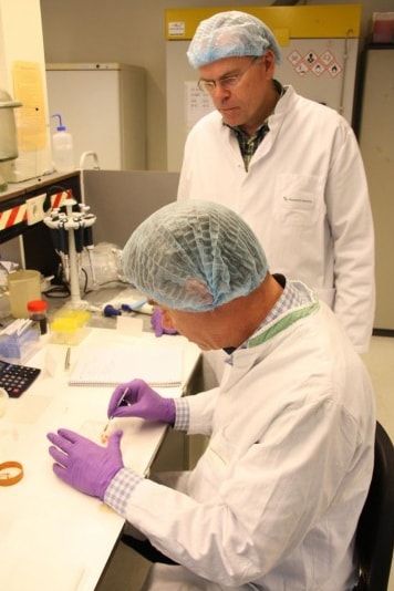 August 5, 2013 Professor from Maastricht University Mark Post (R) works on creating the worlds first lab-grown beef burger in a laboratory at the University in Maastricht. (Maastricht University via AFP/Getty Images)