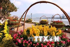 (Ảnh: Lê Lâm/TTXVN)