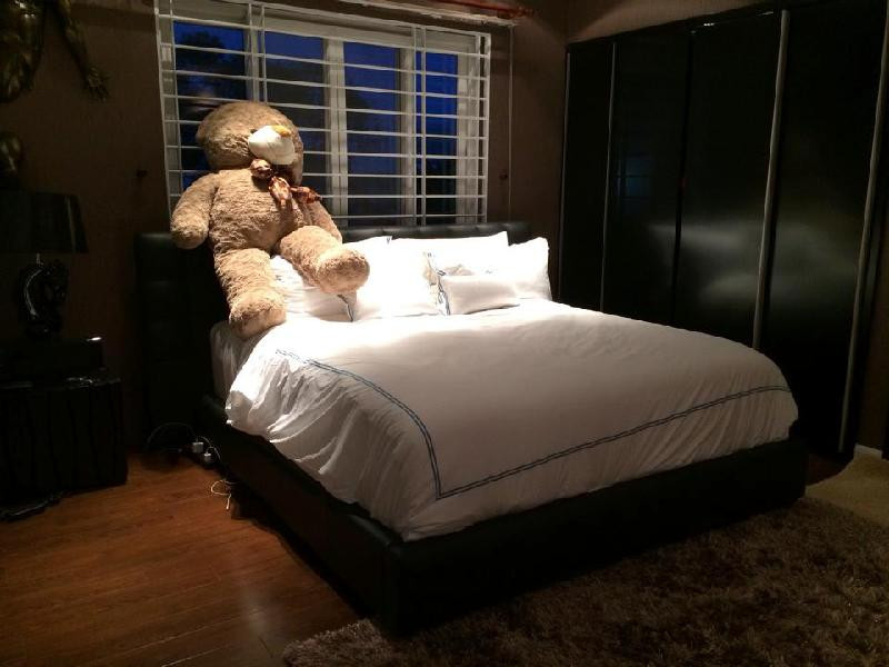 Giường ngủ của Cao Thái Sơn có một con gấu bông rất lớn.