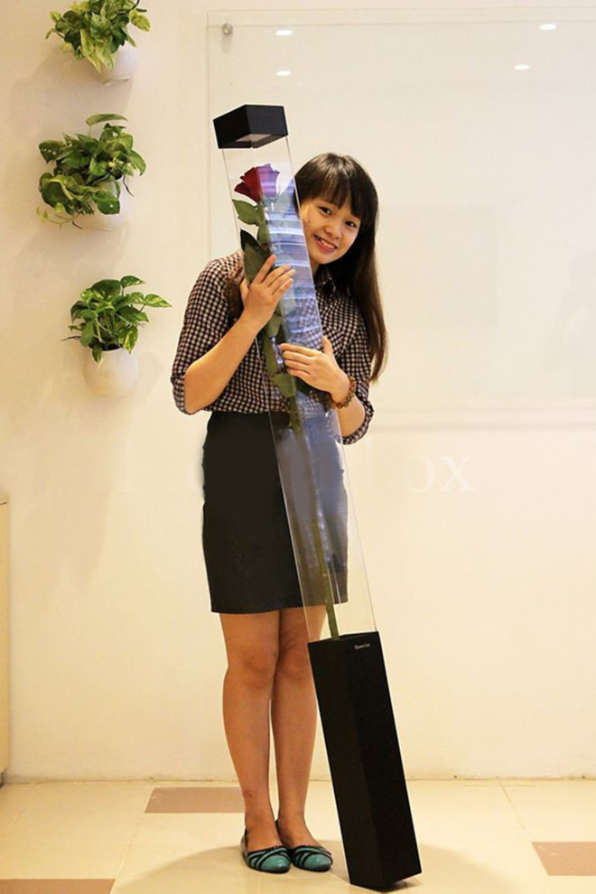 Hoa hồng dài 1,6 m giá 700.000 đồng hút khách Sài Gòn