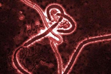 virus Ebola, bệnh Ebola, dịch bùng phát, lây trong không khí