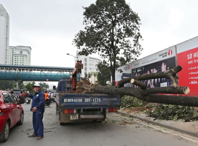 Chủ tịch Hà Nội yêu cầu cử người đi 