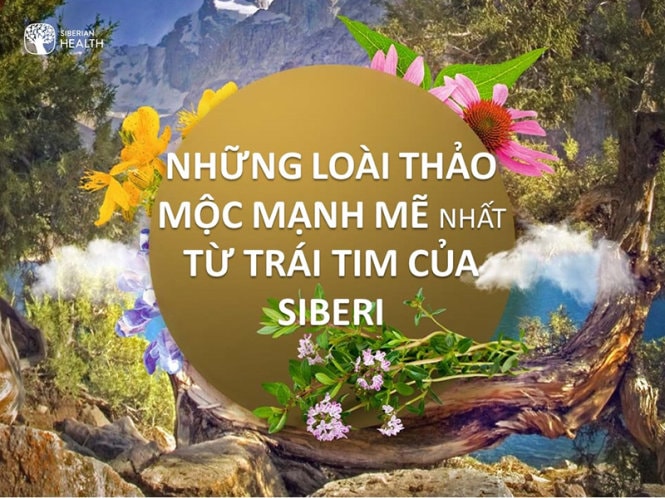 ​Chất độc vào cơ thể ta hàng ngày 