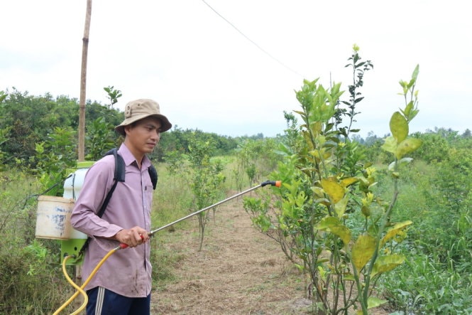 Hàng loạt cán bộ nghỉ việc làm công nhân, bảo vệ 