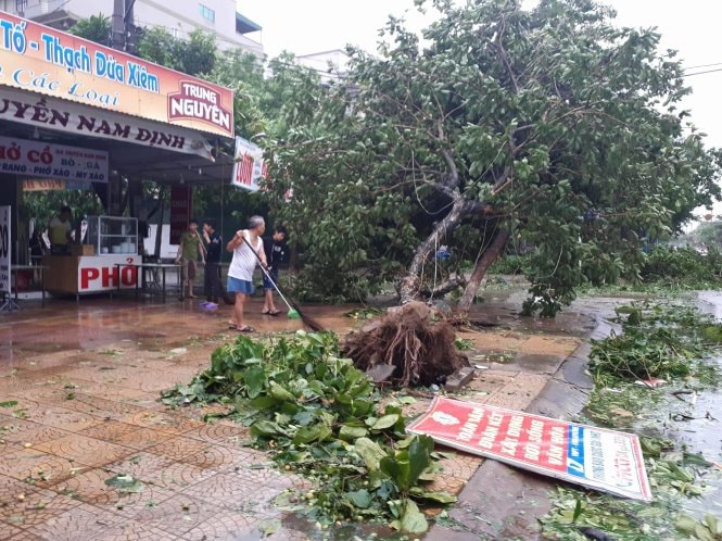 Rạng sáng bão vào Nghệ An - Hà Tĩnh, cây ngã, đường ngập  