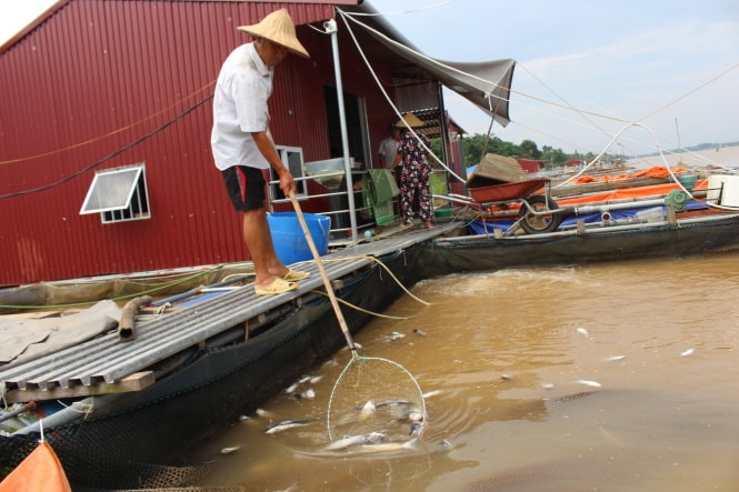 Nguy cơ trắng tay vì thủy điện xả lũ 