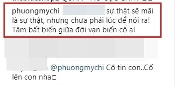 phương mỹ chi và nhà nội - ảnh 2