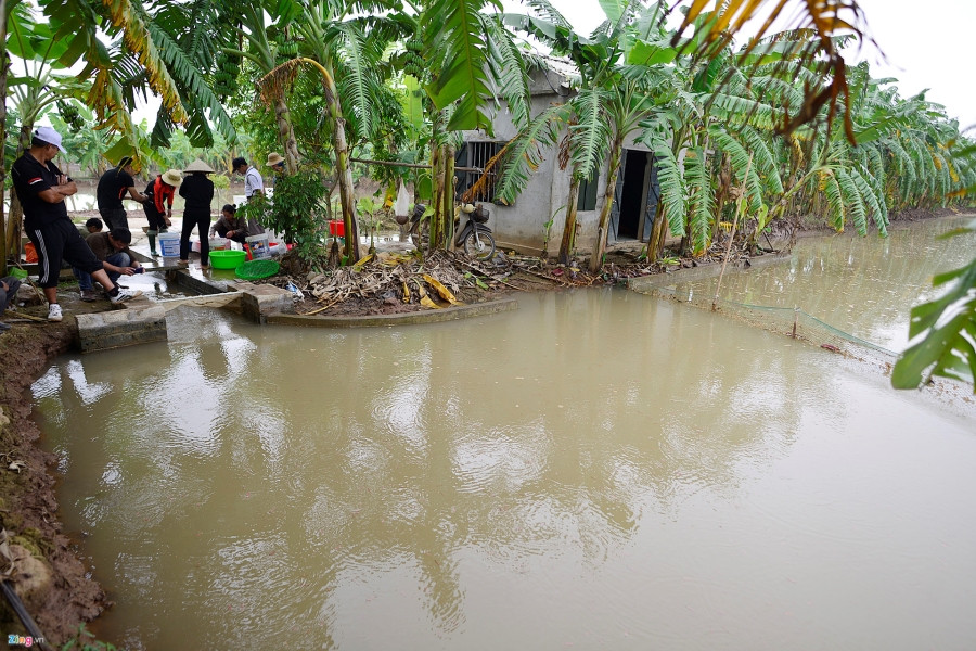 Mua dac san 'loc troi' doc dao o Hai Duong hinh anh 1