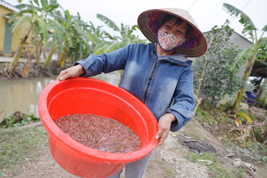 Mua dac san 'loc troi' doc dao o Hai Duong hinh anh 10