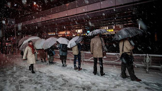 Bão tuyết làm đình trệ giao thông Tokyo - Ảnh 1.