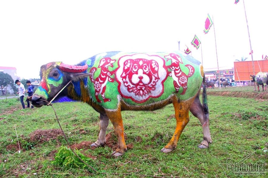 hội tịch điền,tịch điền,Hà Nam