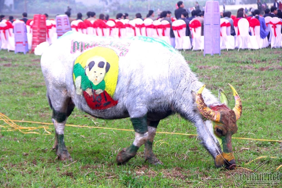 hội tịch điền,tịch điền,Hà Nam