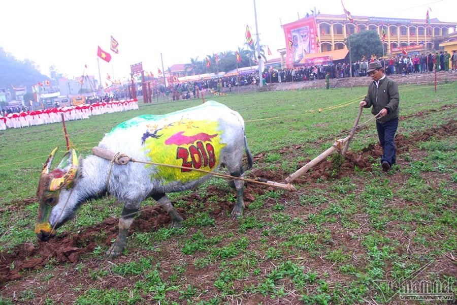 hội tịch điền,tịch điền,Hà Nam