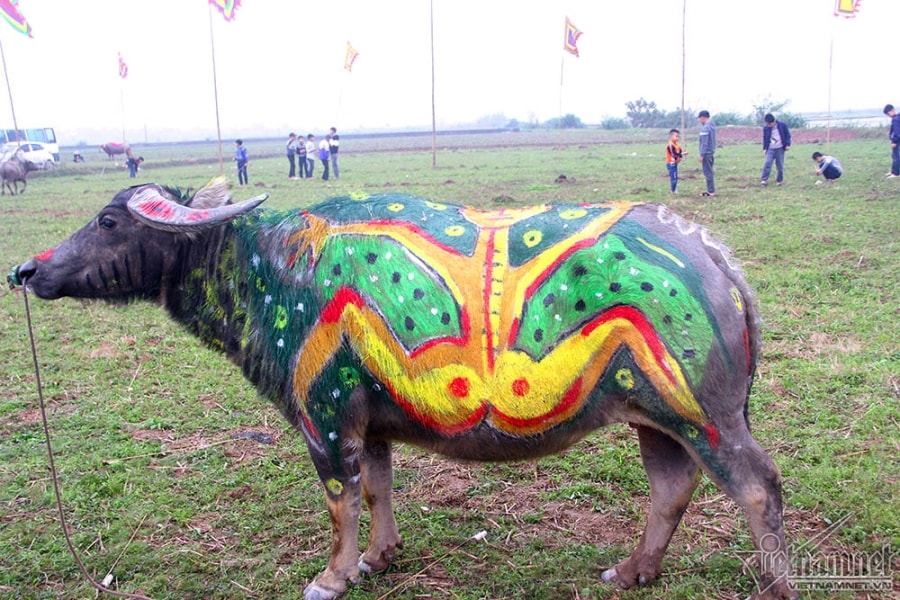 hội tịch điền,tịch điền,Hà Nam