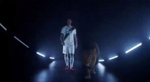 Ibra sánh bước bên sư tử trong video ra mắt LA Galaxy