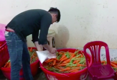 Nhân viên đổ chất tẩy trắng vào thau cà rốt. Ảnh: Tin Tin