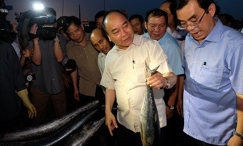 Thủ tướng Nguyễn Xuân Phúc mua cá của ngư dân Quảng Trị - Ảnh 1.