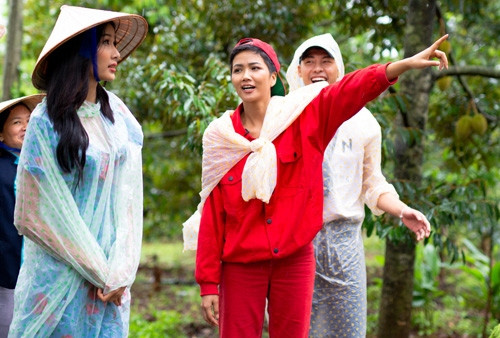 Hoàng Thùy, HHen Niê và Võ Thành An trong thử thách hái bơ ở vườn nhà.