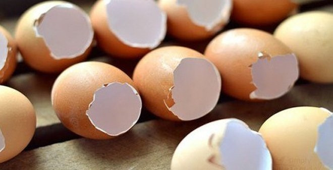 10 tác dụng thần kỳ của vỏ trứng làm bạn kinh ngạc sau khi biết