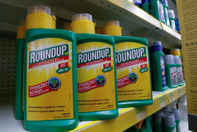 Tòa Mỹ lại xác định thuốc diệt cỏ Roundup gây ung thư - Ảnh 1.