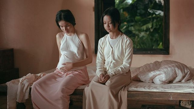 “Vợ ba” ngừng chiếu tại Việt Nam lên báo nước ngoài - 1