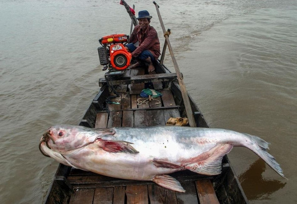 Trung Quốc đang kiểm soát gần 1/5 lưu lượng sông Mekong - Ảnh 2.