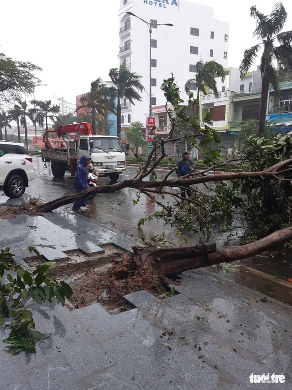 Bão số 12 đang trên biển Bình Định - Ninh Thuận, đất liền gió giật cấp 9 - Ảnh 1.