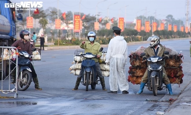 Những chuyến xe 'giải cứu' nông sản ngày giáp Tết ở tâm dịch Chí Linh, Hải Dương - 8