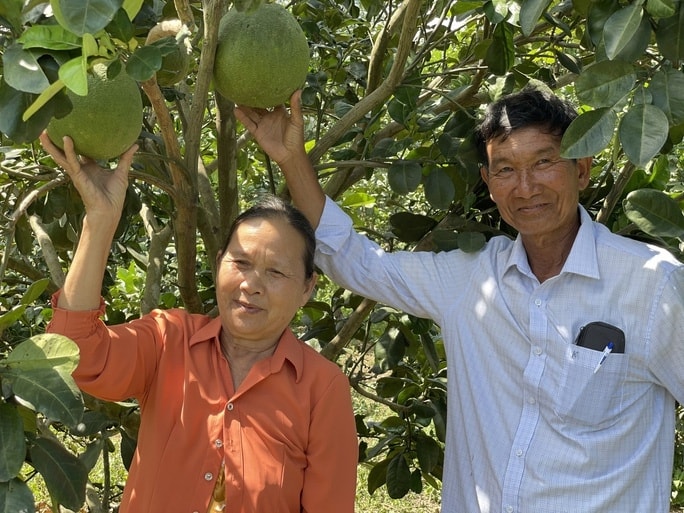 lao nong Luong Tuyen anh 3