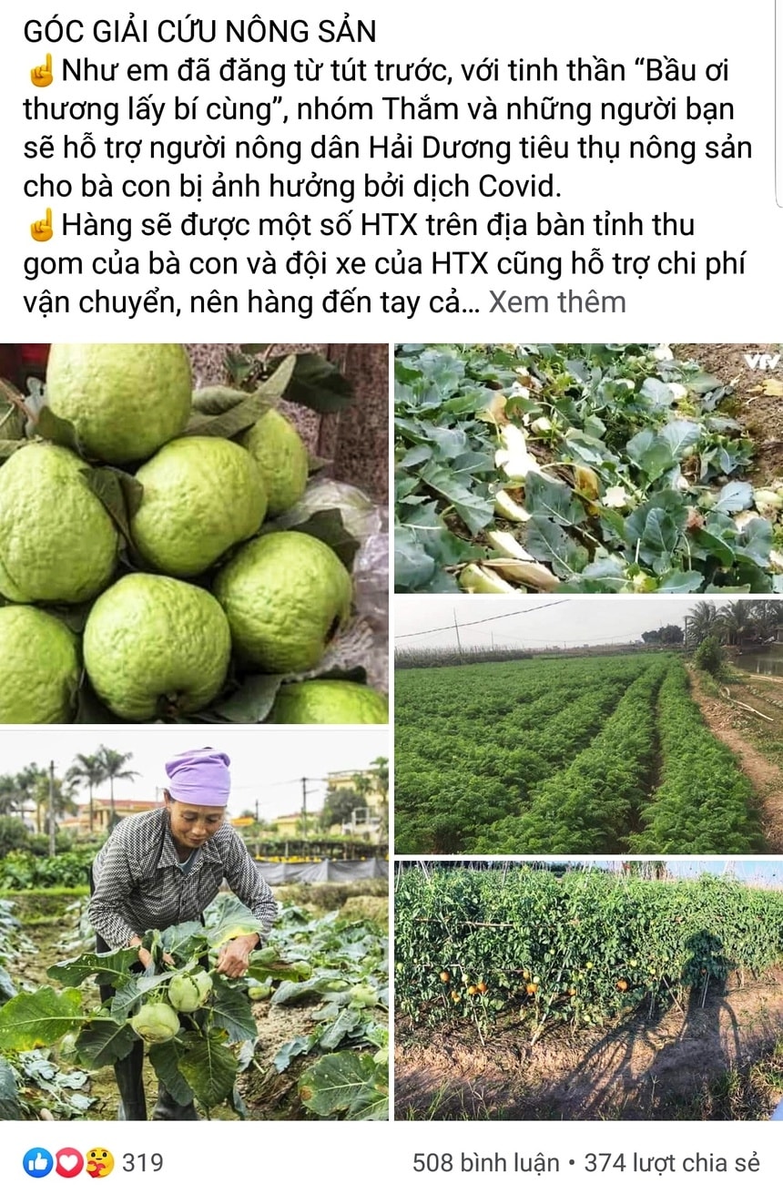 Ro phong trao giai cuu nong san tinh Hai Duong anh 2