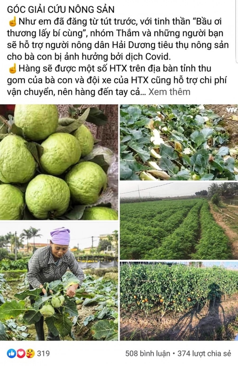 Các cá nhân kêu gọi mọi người hỗ trợ tiêu thụ nông sản của tỉnh Hải Dương. (Ảnh chụp màn hình)