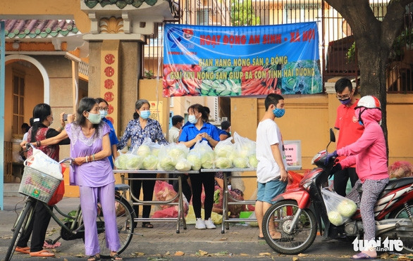 Người trẻ Sài Gòn thuê xe ra tận Hải Dương mua bắp cải về bán giá... 0 đồng - Ảnh 1.