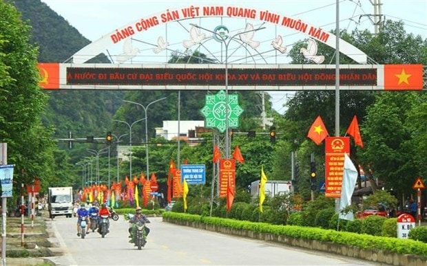 Hoi dong Bau cu Quoc gia quyet dinh viec rut ten cua nguoi ung cu hinh anh 2