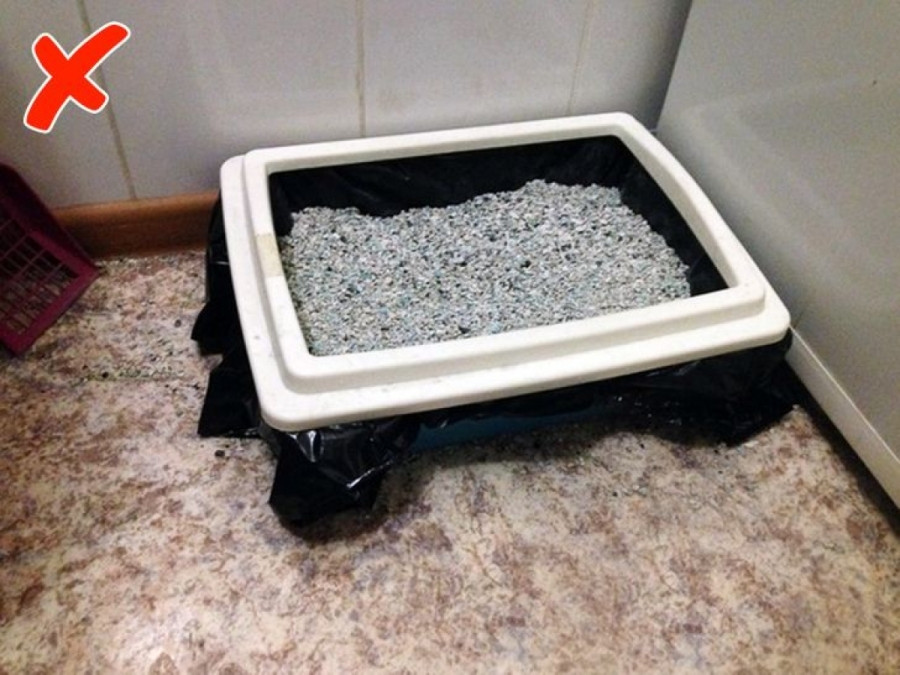 Thùng đựng cát vệ sinh mèo/chó: Độ ẩm có thể làm ẩm cát, đồng thời phân tán vi khuẩn của cát ra khắp nhà vệ sinh. Các nhà sản xuất khuyến cáo bạn nên đặt cát vệ sinh của thú cưng ở nơi thoáng khí, khô ráo.