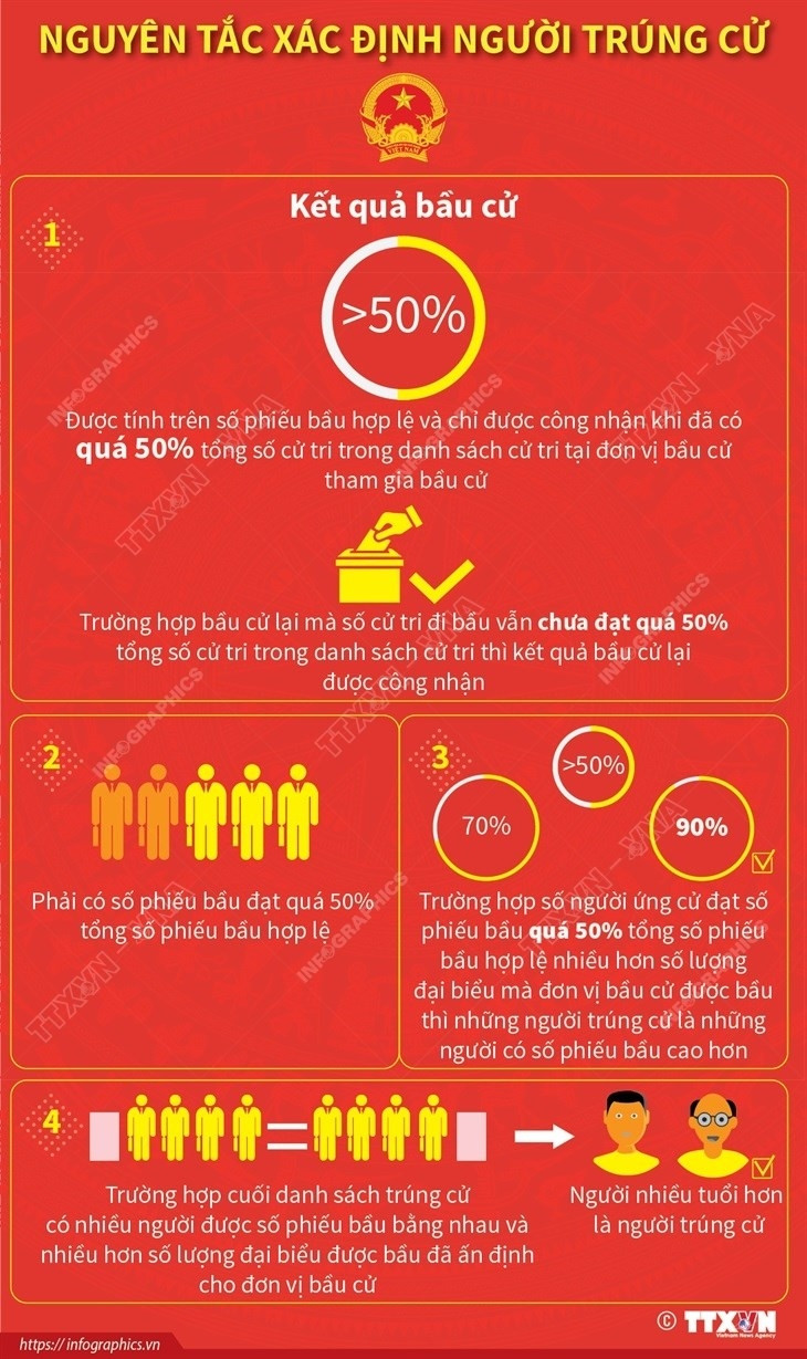 [Infographics] Nguyen tac xac dinh nguoi trung cu hinh anh 1