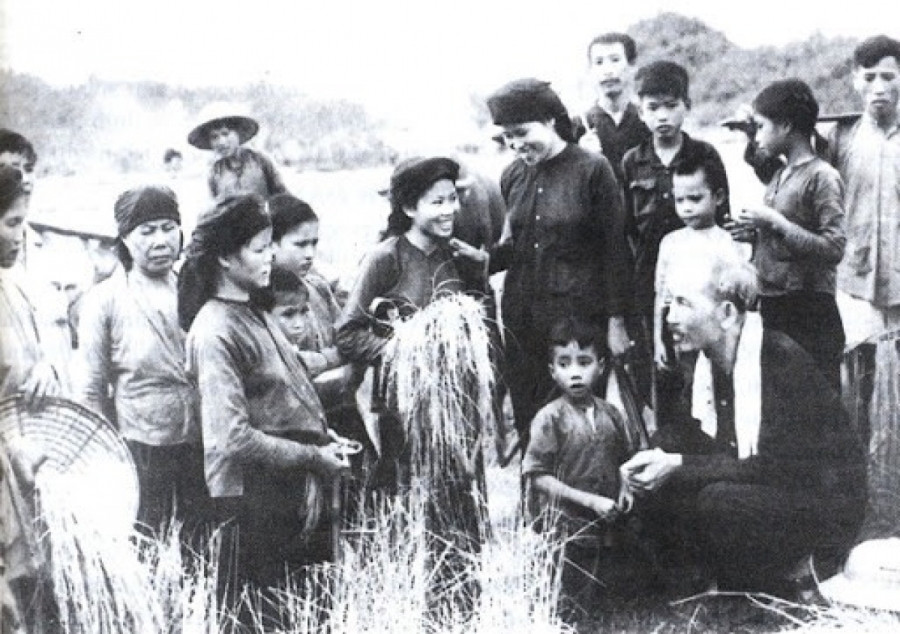 Bác Hồ thăm nông dân đang gặt lúa trên cánh đồng xã Hùng Sơn (huyện Đại Từ, Thái Nguyên