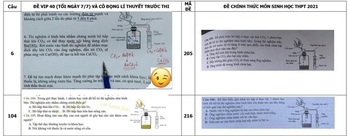 Bộ GD-ĐT lên tiếng vụ nội dung ôn tập bị tố giống 80% đề thi môn sinh - Ảnh 2.