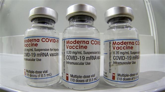 Nhat Ban cap phep su dung vaccine Moderna cho tre tu 12-18 tuoi hinh anh 1
