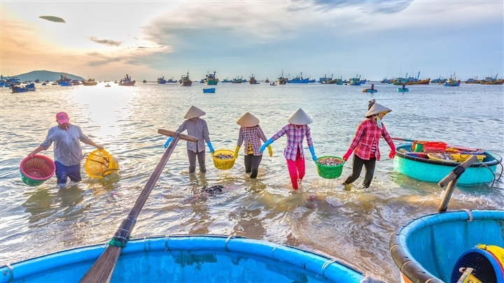 Có một làng chài đẹp mê ly với những chiếc thuyền thúng đầy màu sắc ở Bình Thuận - 2