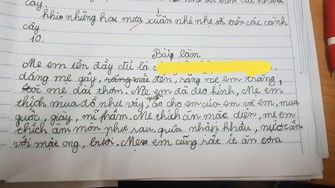 Những bài văn gây sốt mạng vì sự thật thà - 1