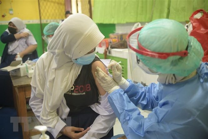 Indonesia dat muc tieu tiem vaccine cho 208 trieu dan de dat miem dich hinh anh 1