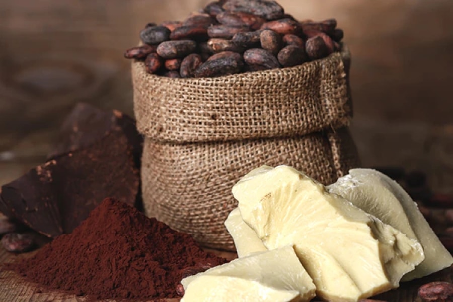 Bơ cacao: Bơ cacao giàu các thành phần hoạt tính sinh học giúp bảo vệ khỏi tổn thương do tia UV gây ra, thậm chí chữa lành các tổn thương vốn có, đồng thời giảm tình trạng mất cân bằng melanin gây ra tàn nhang. Bạn hãy lấy hai thìa cà phê bơ cacao, thoa nhẹ nhàng lên da và mát-xa, sau đó để qua đêm. Khi ngủ dậy, bạn hãy xả sạch với nước ấm.