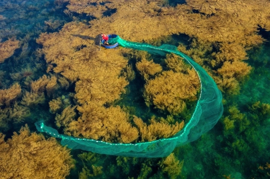 Photographer Nguyen Phuoc Hoai’s image “Fishing The” captures the moment a fisherman in Binh Dinh province catches fish during the seaweed season.