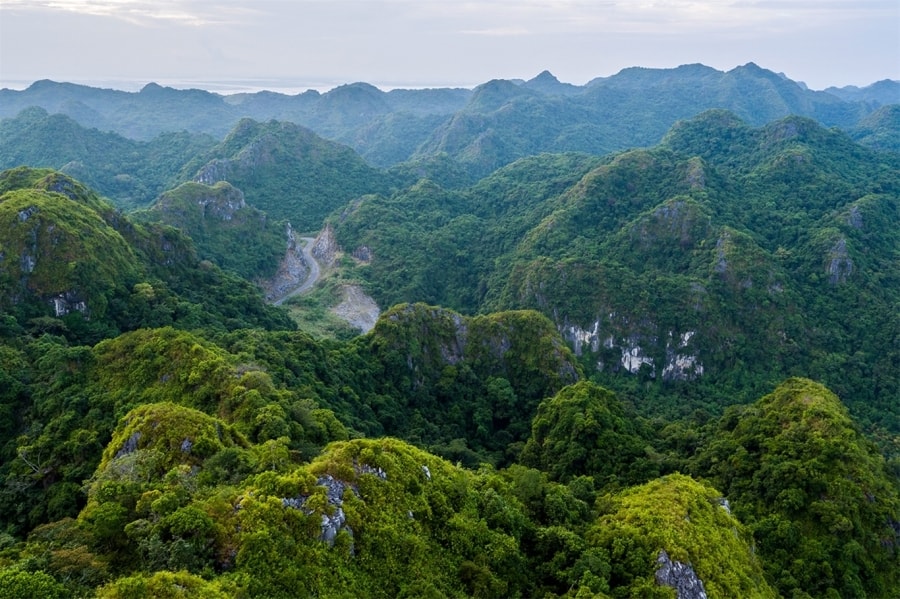 Vườn Quốc gia,Cát Bà