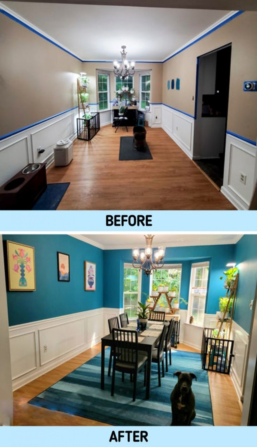 Phòng ăn mới lạ và hiện đại hơn sau quá trình sơn lại màu.