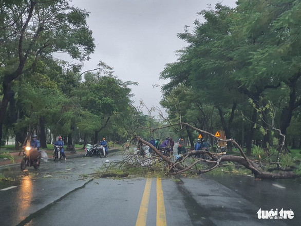 Miền Trung mưa to gió lớn, 2 người mất tích, cây đổ đè trúng người đi đường ở Huế - Ảnh 6.