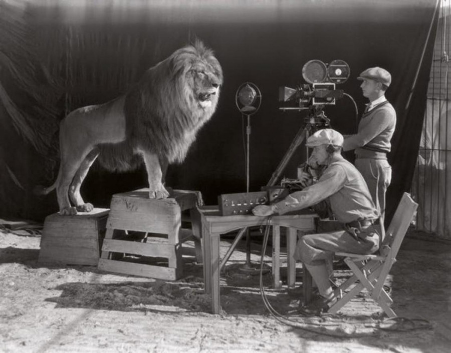 Điểm ấn tượng đã làm nên thương hiệu của MGM (Metro–Goldwyn–Mayer) chính là hình ảnh chú sư tử gầm ở đầu mỗi bộ phim của họ. Trên thực tế, có rất nhiều con sư tử đã được sử dụng cho biểu tượng của MGM. Không rõ 2 người đó cảm thấy như thế nào trong lồng với một con sư tử Nubian hoang dã.