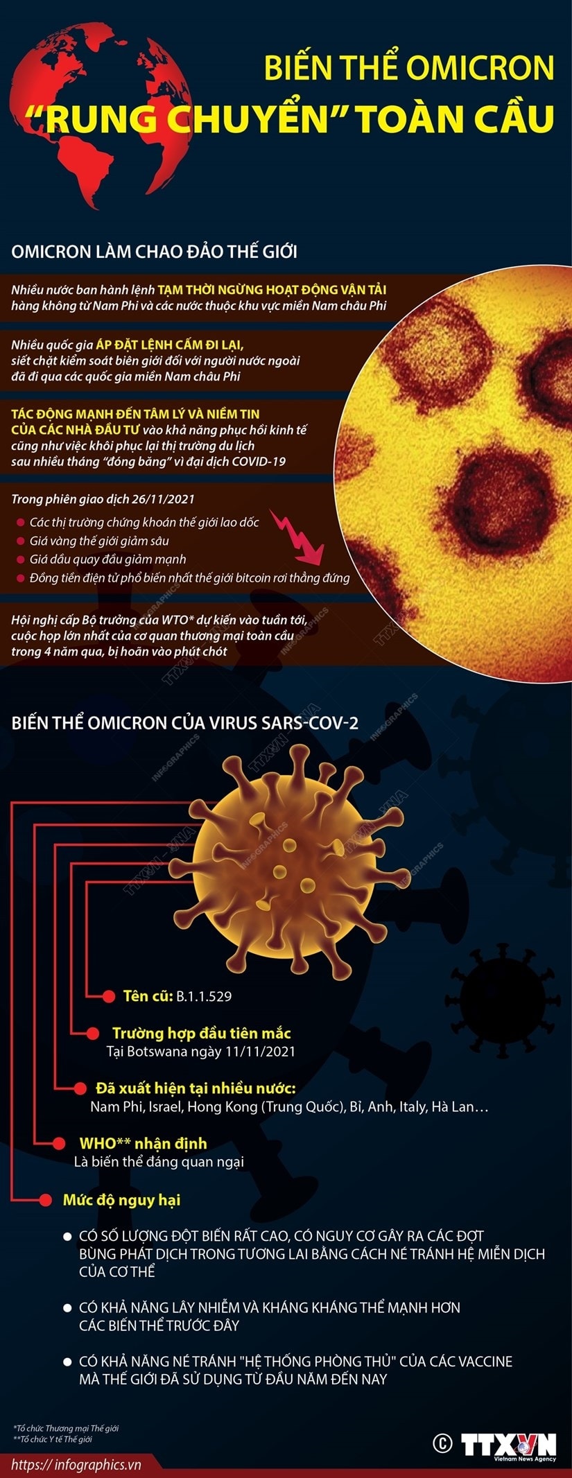 [Infographics] Bien the Omicron lam “rung chuyen” toan cau hinh anh 1