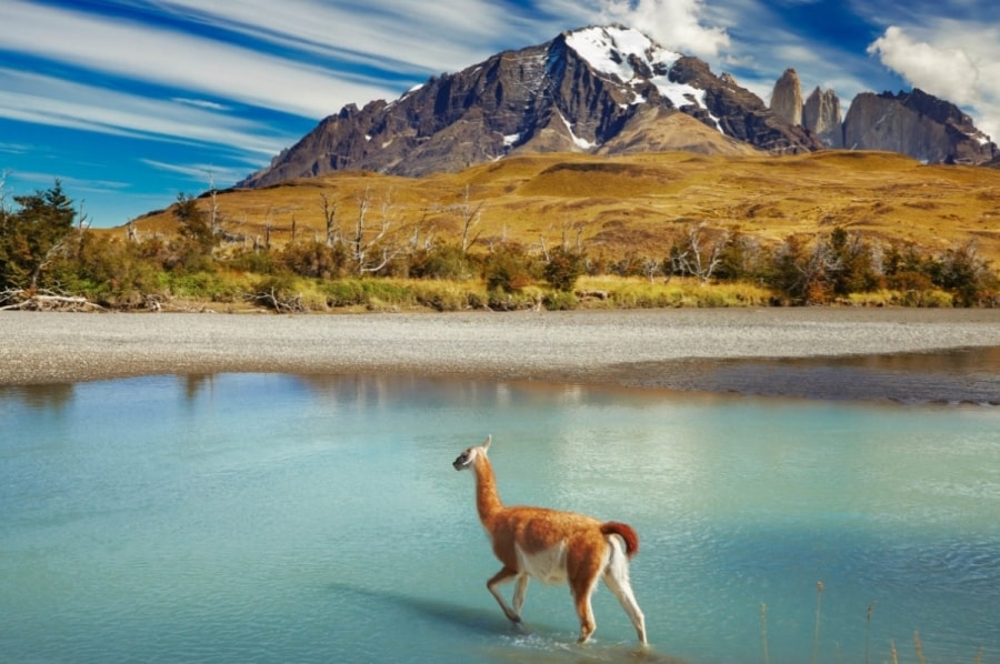 Công viên Quốc gia Torres del Paine giành giải thưởng “Điểm du lịch tự nhiên hấp dẫn nhất” của khu vực Nam Mỹ tại lễ trao giải World Travel Awards mới nhất, còn được biết đến với tên gọi “Giải Oscar của ngành Du lịch”