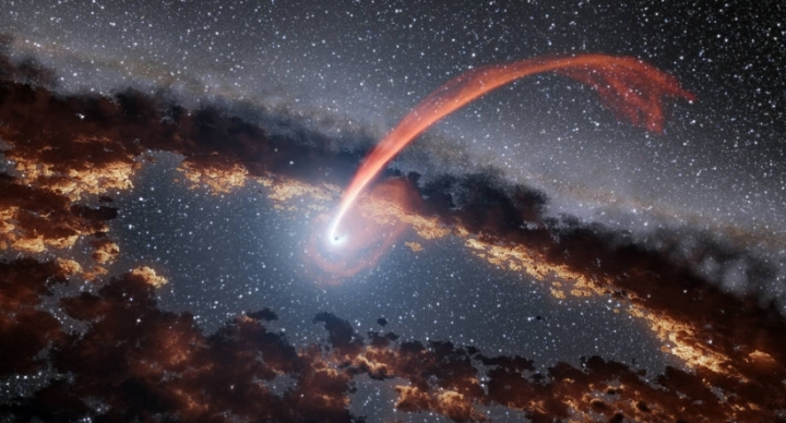 Học sinh trung học phát hiện ngôi sao bị hố đen làm thịt - 1